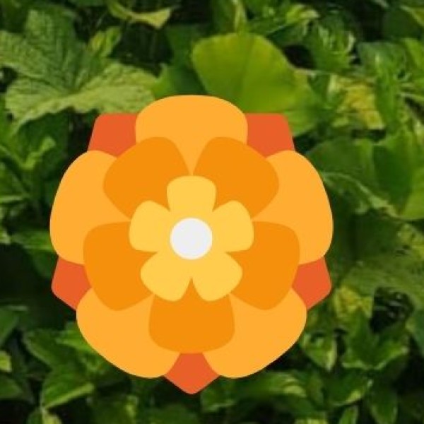 Tamarind & Curry Leaves