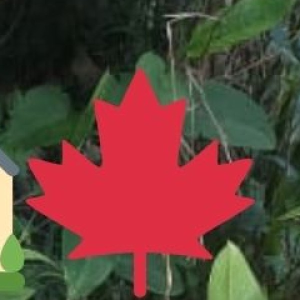 Organic & Sustainable Farming