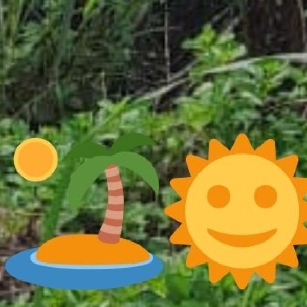 Stay in Tribal Hamlets (Eco-Tourism)