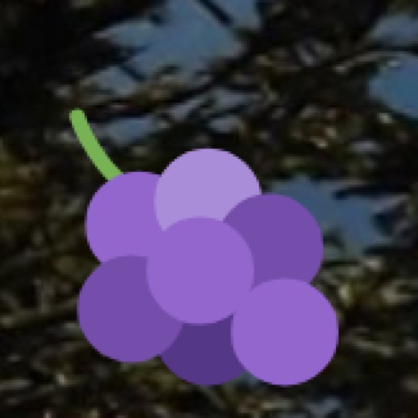 Spices of Goa – Fragrance of the Land