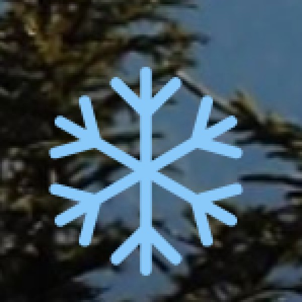 Agriculture & Spice Plantations in Jammu & Kashmir