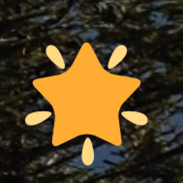 o Puducherry & Karaikal: