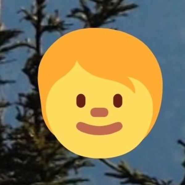 Challenges Faced by Agriculture in Goa