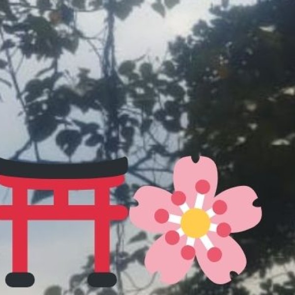 Agricultural Innovations & Cooperative Models