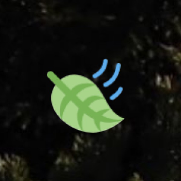 Spice Plantations in Telangana