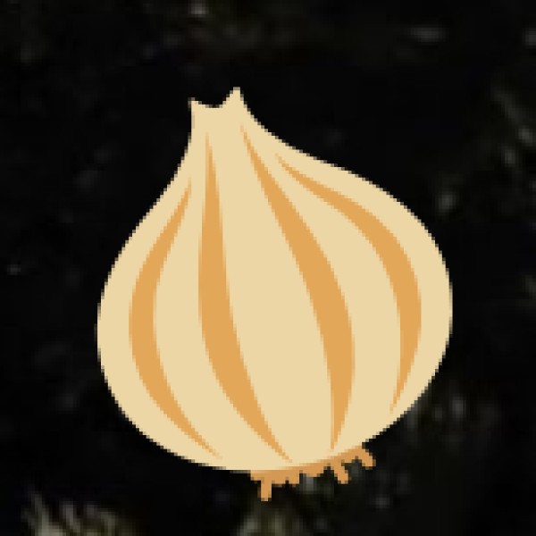 Spice Plantations in Gujarat