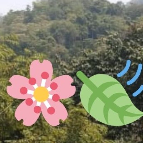 Spice Cultivation in Uttar Pradesh