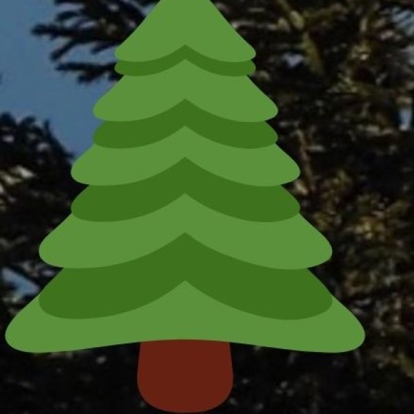 TRIBAL AGRICULTURE & MINOR FOREST PRODUCE (MFP)