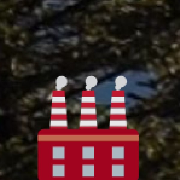 Government Initiatives & Research: