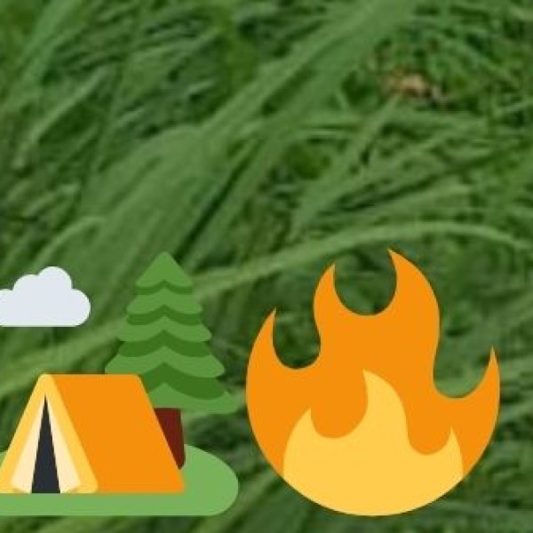 Government Initiatives for Sustainable Growth