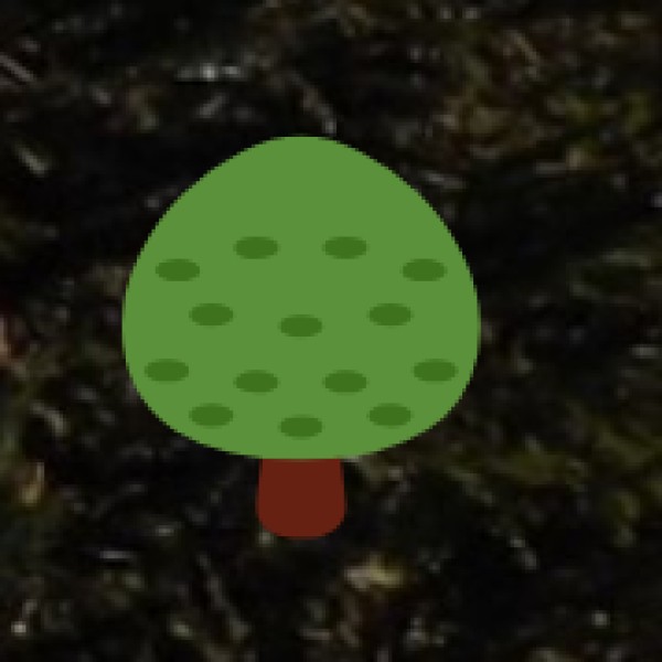 Coffee Plantations in Karnataka