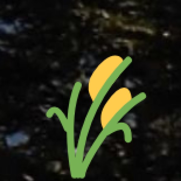 Agriculture & Spice Plantations in Uttarakhand: