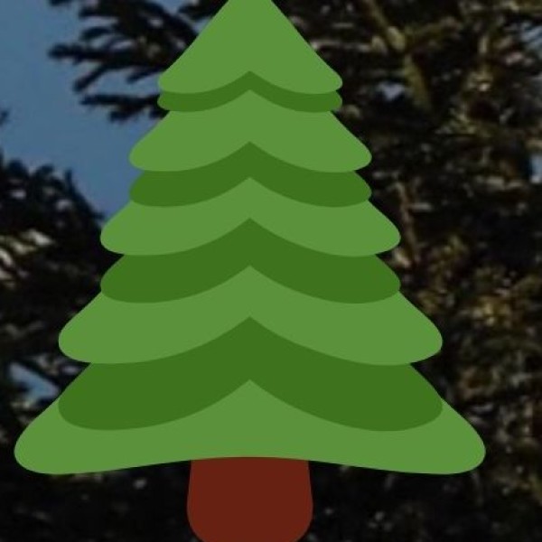 Emerging & Medicinal Crops