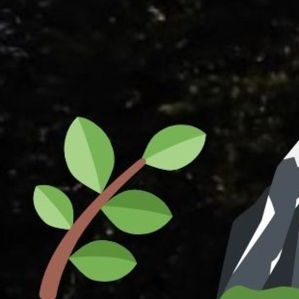 Tea Garden & spice Plantation tours