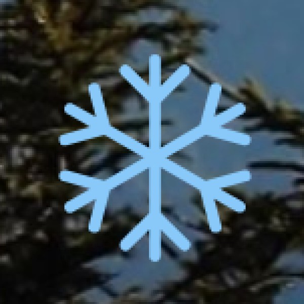 Government Support & Tribal Tourism Development