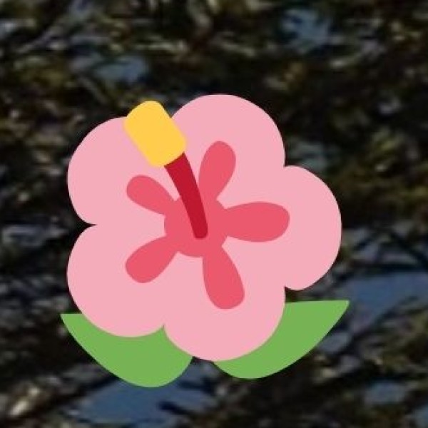 Accessibility & Responsible Travel Tips