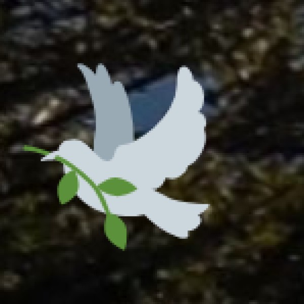 • Agri-tourism and spice tourism in tribal regions