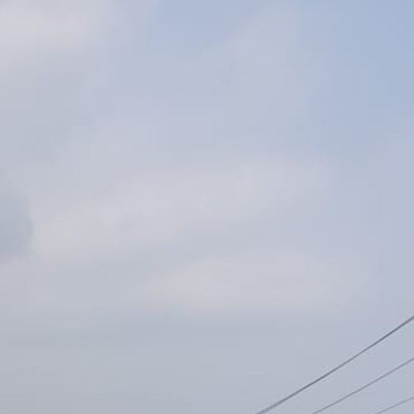 Agriculture in Daman & Diu,