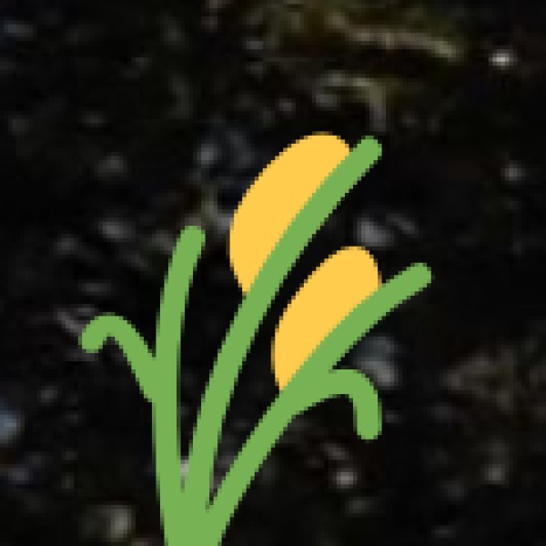 Zaid Crops (Summer Season – April to June)