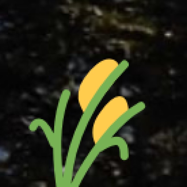 Traditional Agricultural Practices & Festivals