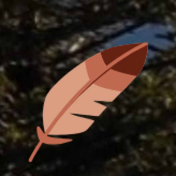 BEST TIME FOR SPICE PLANTATION TOURS