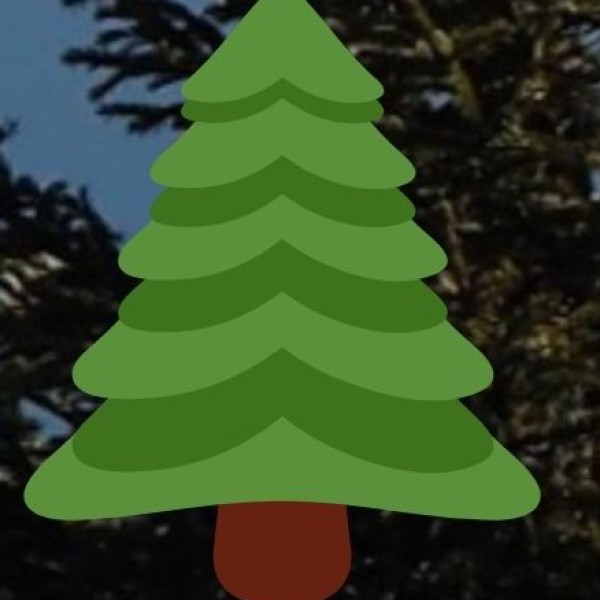 Digboi – Tea, Oil & Colonial Charm