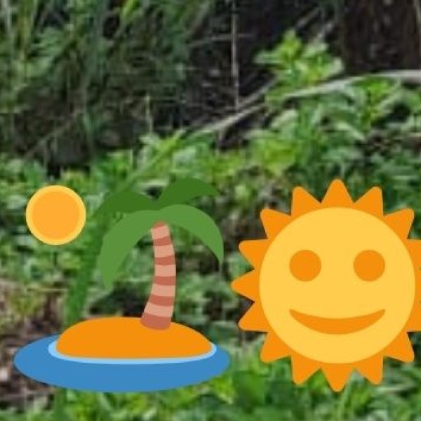 Allied Agricultural Activities