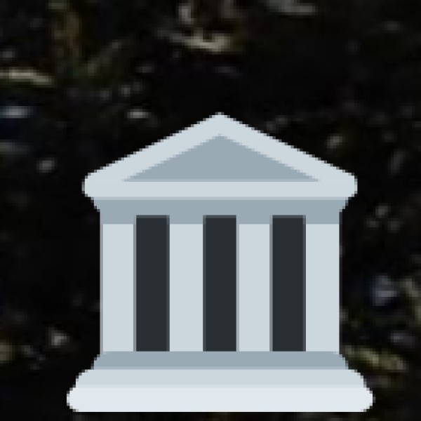 • Government Initiatives: