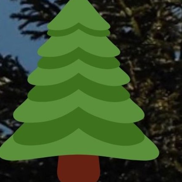 Best Time to Visit Tea Estates in West Bengal