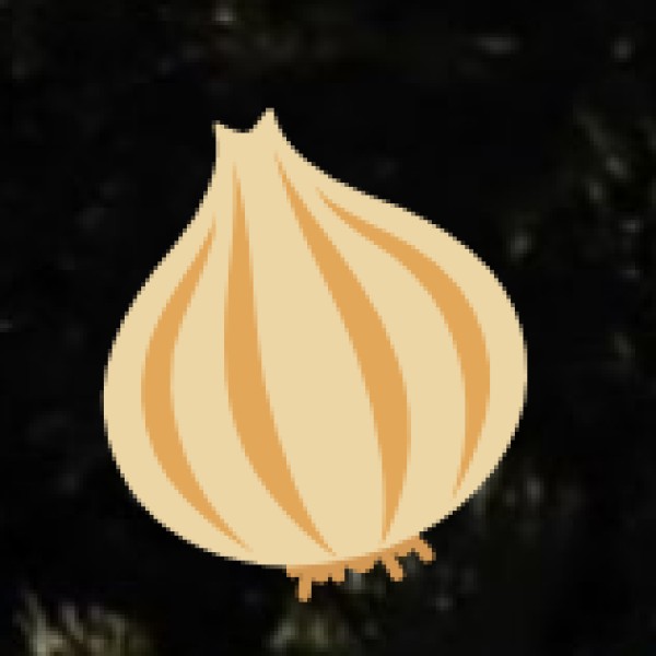 Gujarat Agriculture & Spice Plantations