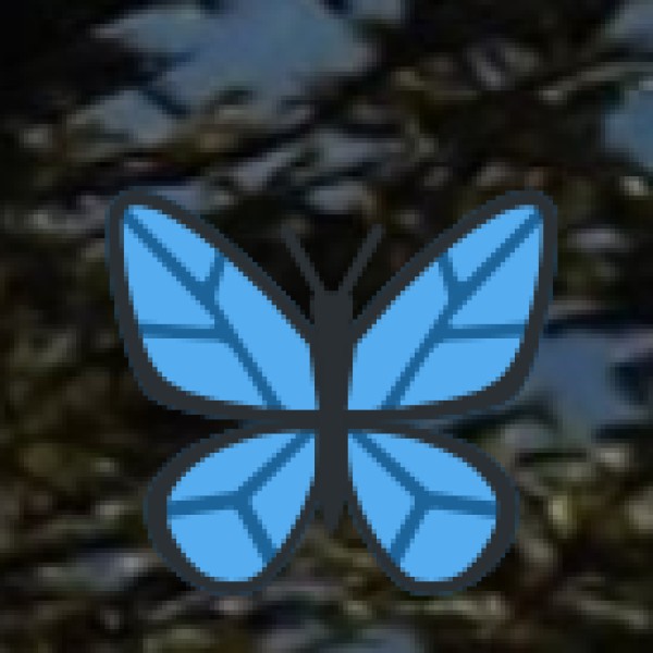 Agriculture & Spice Plantations in Chhattisgarh