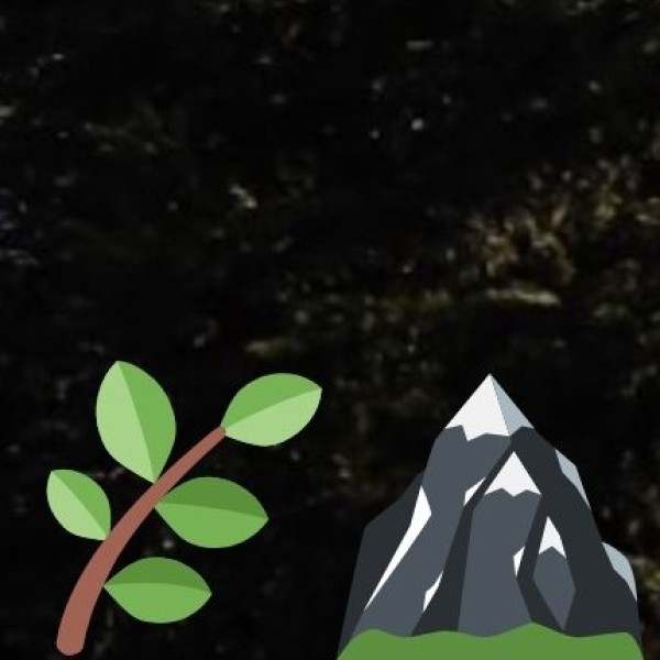 Sonitpur Tea Estates – Offbeat & Scenic Tea Gardens