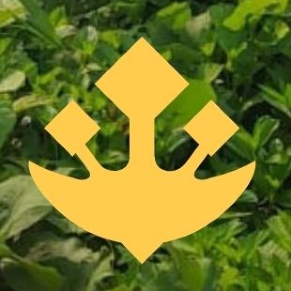 SCOPE & FUTURE PROSPECTS