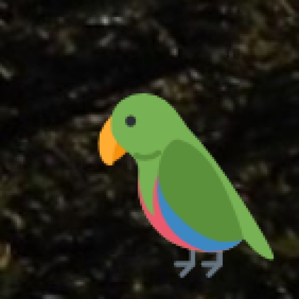 Sultanpur Bird Sanctuary (Gurugram)