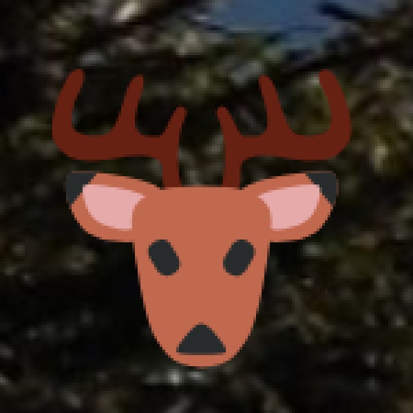 Bhindawas Wildlife Sanctuary (Jhajjar)