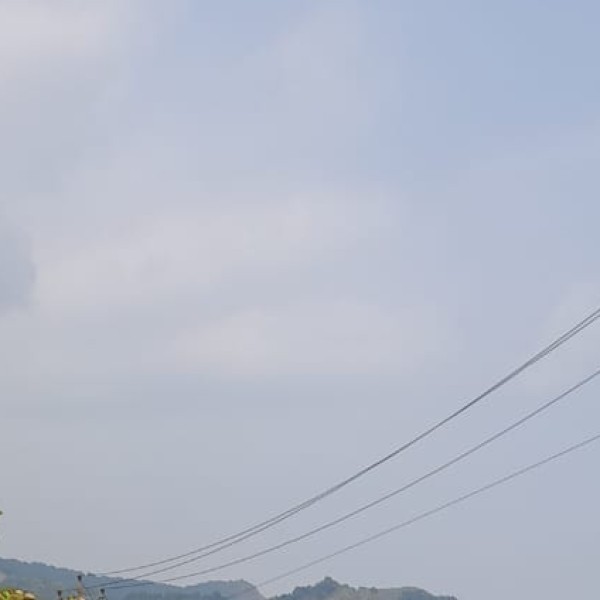 Doyang River – Nagaland’s Unseen Birding Paradise