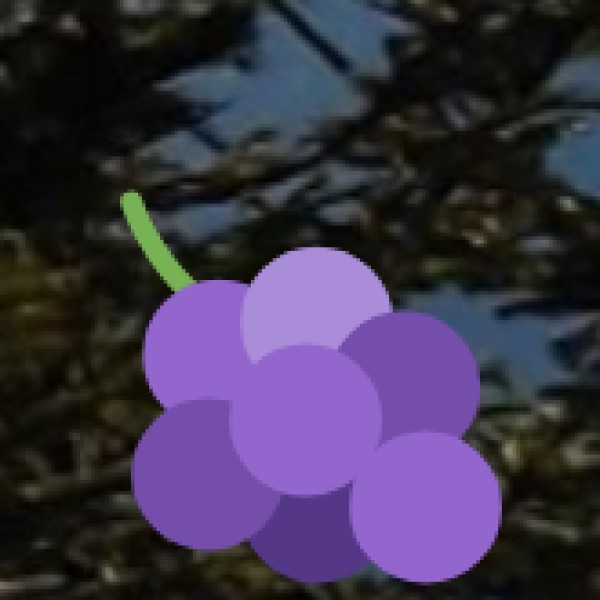 Hnahlan Village Vineyards