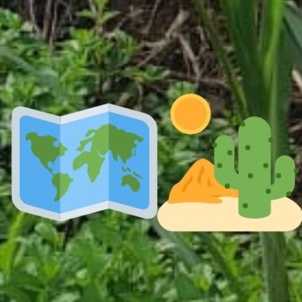 Geography & Climate of Delhi