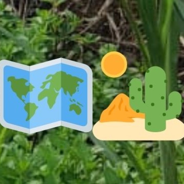 Environment & Biodiversity