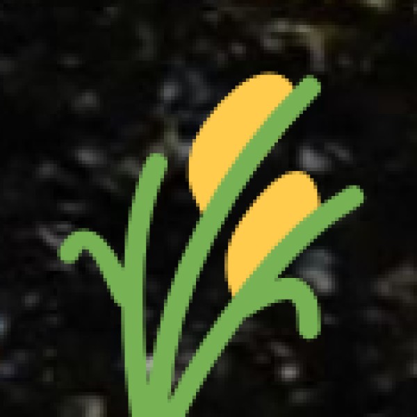 Economy & Agriculture: