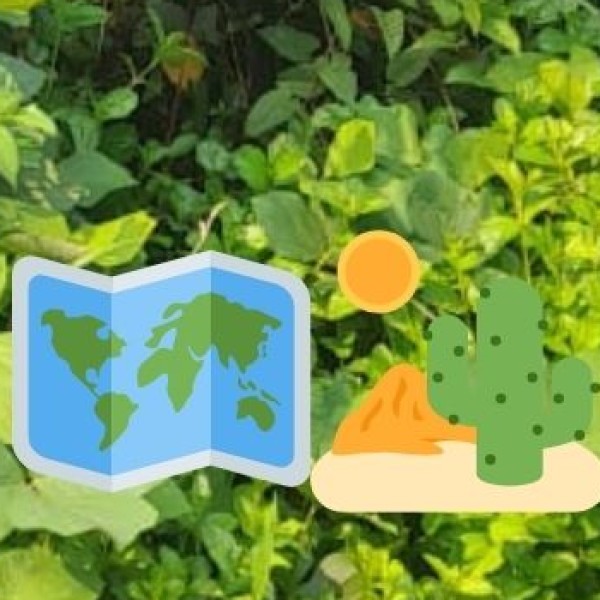 Geography & Climate