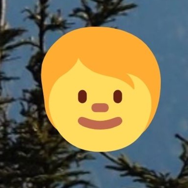 Government Initiatives