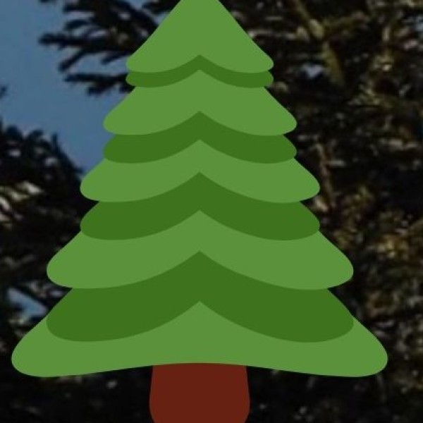 Daringbadi (Kandhamal District) – The Kashmir of Odisha