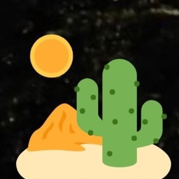 Kerala’s Spice Plantations