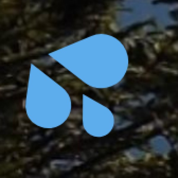 Dudhsagar Waterfall Trek (Via Castle Rock or Kulem)