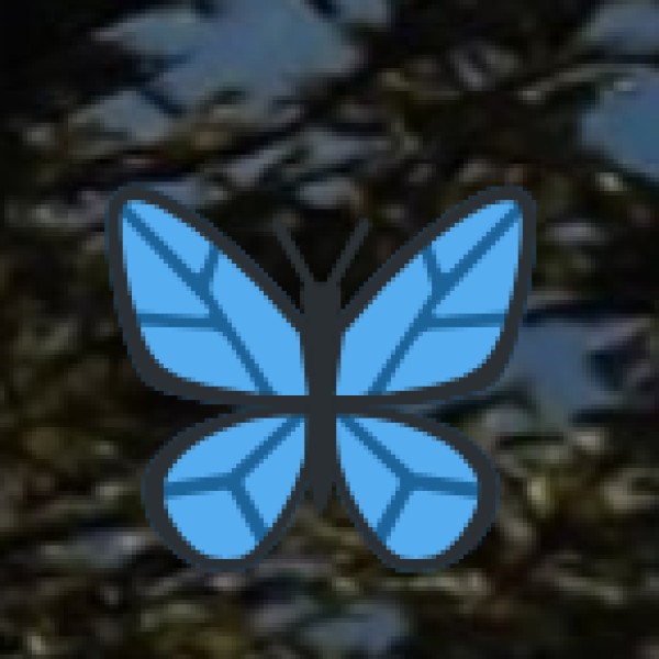 Tamia – A Hidden Paradise