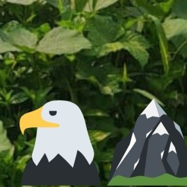 Saranda Forest Retreats