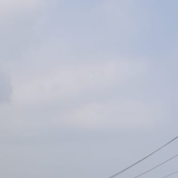 Tambdi Surla & Bhagwan Mahavir Wildlife Sanctuary