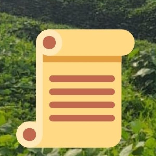 Why Visit Arunachal’s Hill Stations?