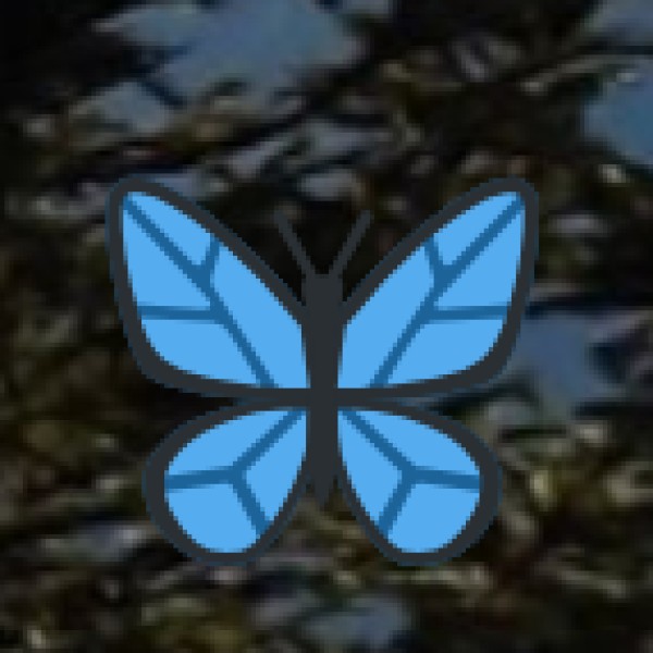 Phawngpui (Blue Mountain)